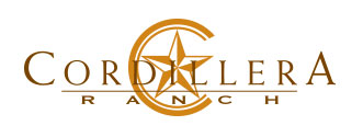 cord-logo-galllery